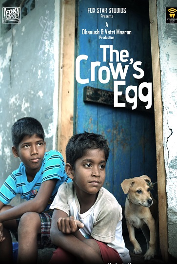 Film Screening